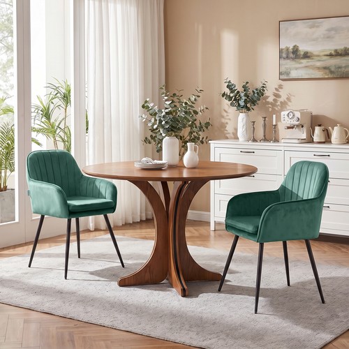 2pcs dining chairs - 2pcs,