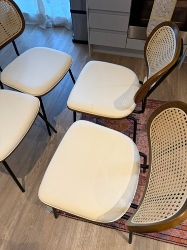 Wayfair set cane back - 4,
