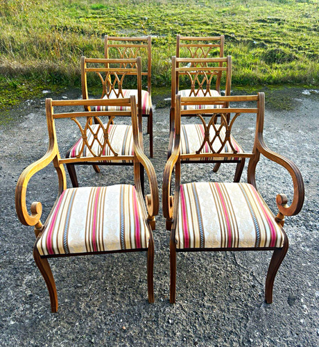 Set dining chairs medium - set,